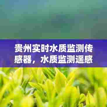 贵州实时水质监测传感器,水质监测遥感