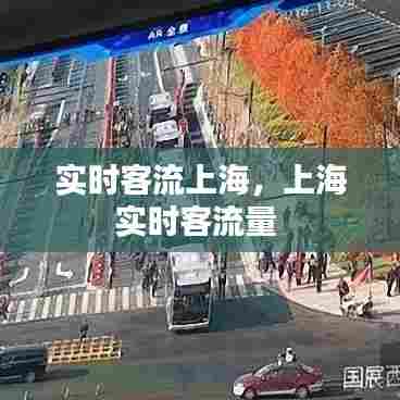 实时客流上海,上海实时客流量