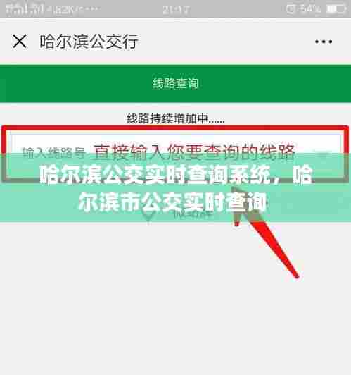 哈尔滨公交实时查询系统，哈尔滨市公交实时查询 