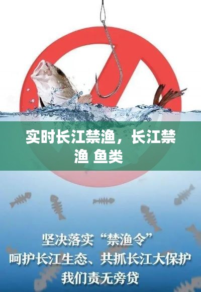 实时长江禁渔,长江禁渔 鱼类