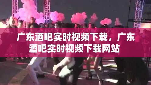 广东酒吧实时视频下载,广东酒吧实时视频下载网站