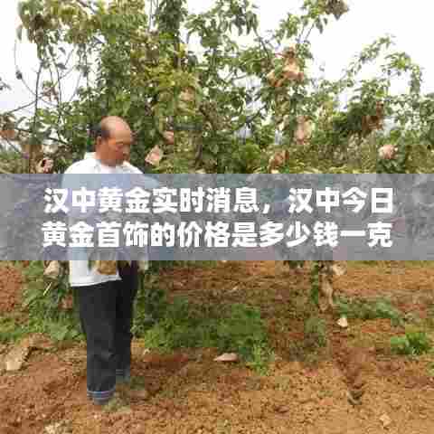 汉中黄金实时消息,汉中今日黄金首饰的价格是多少钱一克