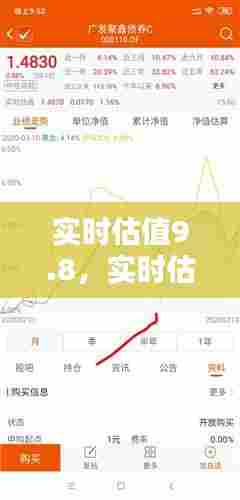 实时估值9.8,实时估值和最新净值