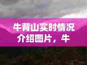 牛背山实时情况介绍图片,牛背山最新消息