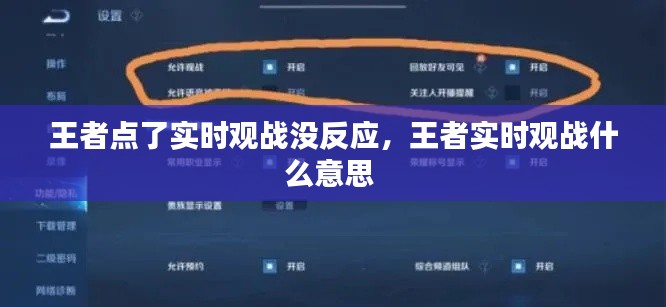 王者点了实时观战没反应,王者实时观战什么意思