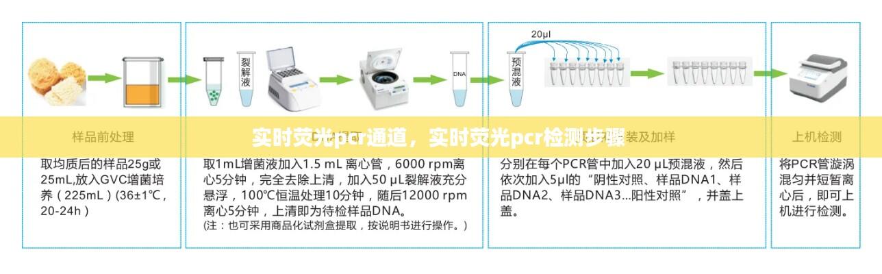 实时荧光pcr通道,实时荧光pcr检测步骤