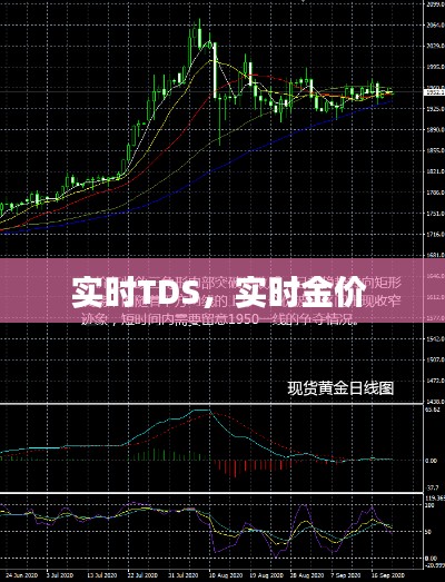 实时TDS,实时金价