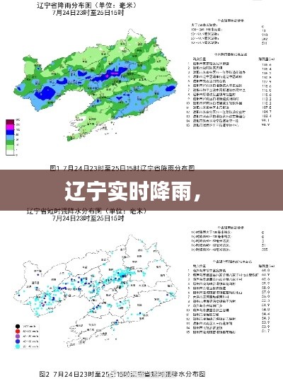 辽宁实时降雨,