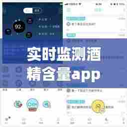 实时监测酒精含量app,酒精测试软件app
