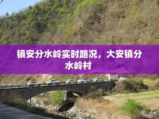 镇安分水岭实时路况,大安镇分水岭村