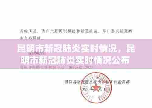 昆明市新冠肺炎实时情况,昆明市新冠肺炎实时情况公布