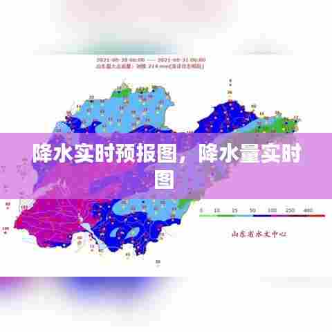 降水实时预报图,降水量实时图