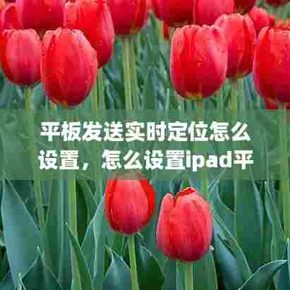 平板发送实时定位怎么设置，怎么设置ipad平板定位追踪 