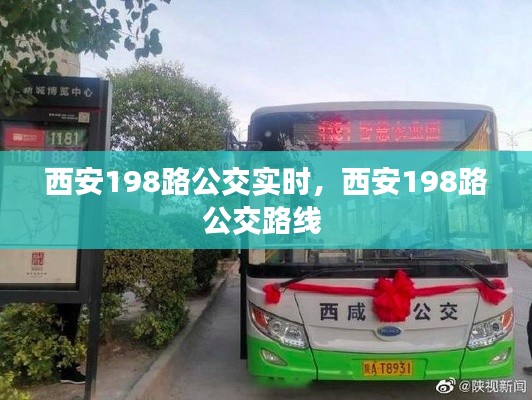 西安198路公交实时,西安198路公交路线