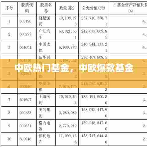 中欧热门基金,中欧爆款基金