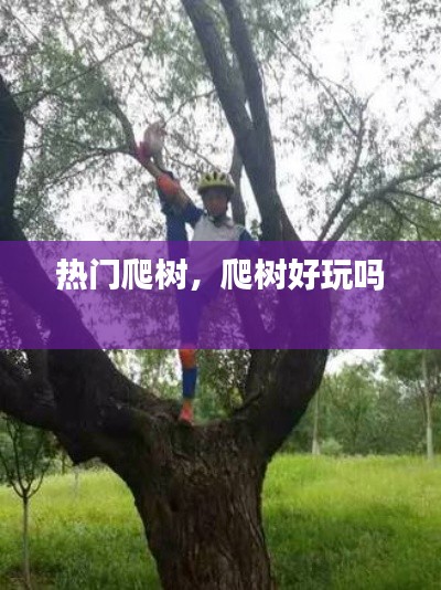 热门爬树,爬树好玩吗