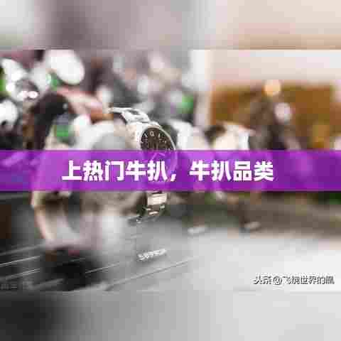 上热门牛扒,牛扒品类