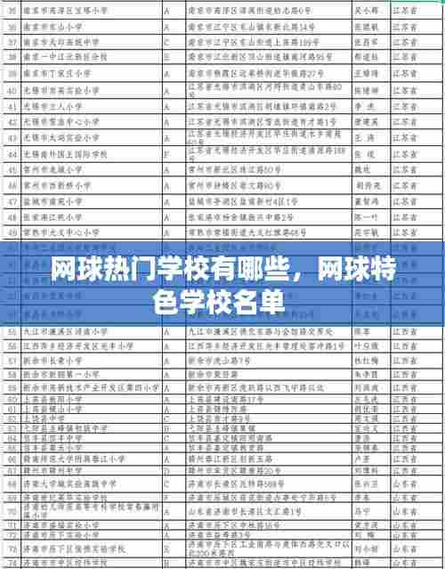 网球热门学校有哪些，网球特色学校名单 