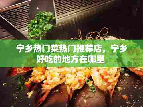 宁乡热门菜热门推荐店,宁乡好吃的地方在哪里