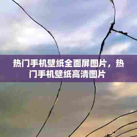 热门手机壁纸全面屏图片,热门手机壁纸高清图片
