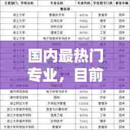 国内最热门专业，目前国内最热门的专业 