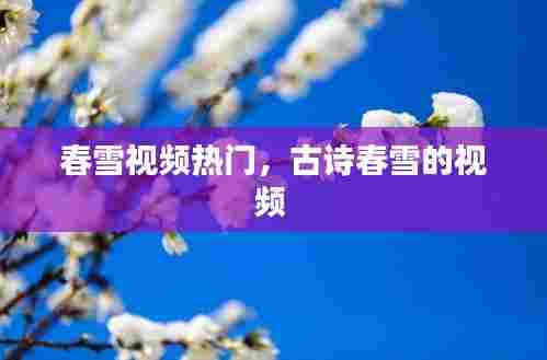 春雪视频热门,古诗春雪的视频