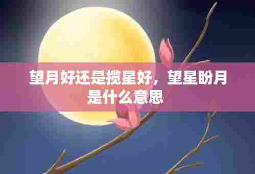 望月好还是揽星好，望星盼月是什么意思 
