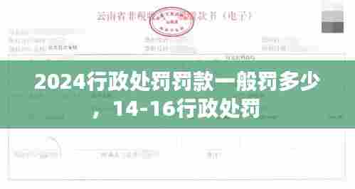 2024行政处罚罚款一般罚多少，14-16行政处罚 