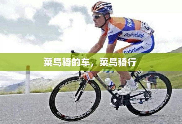菜鸟骑的车，菜鸟骑行 
