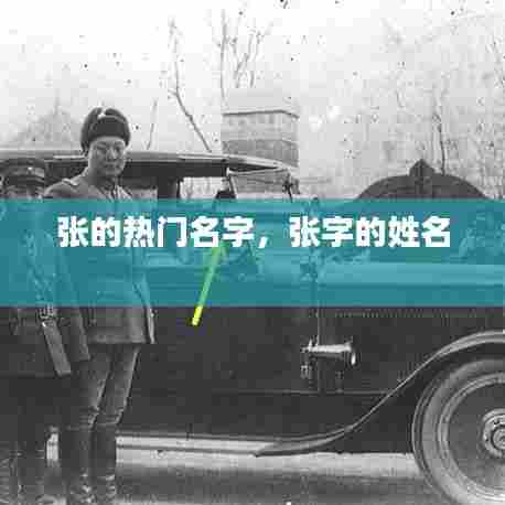 张的热门名字，张字的姓名 