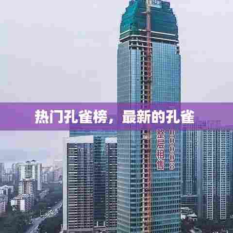 热门孔雀榜,最新的孔雀