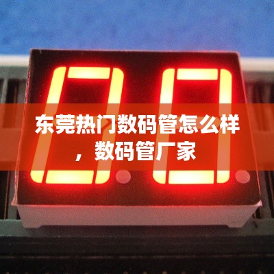 东莞热门数码管怎么样，数码管厂家 