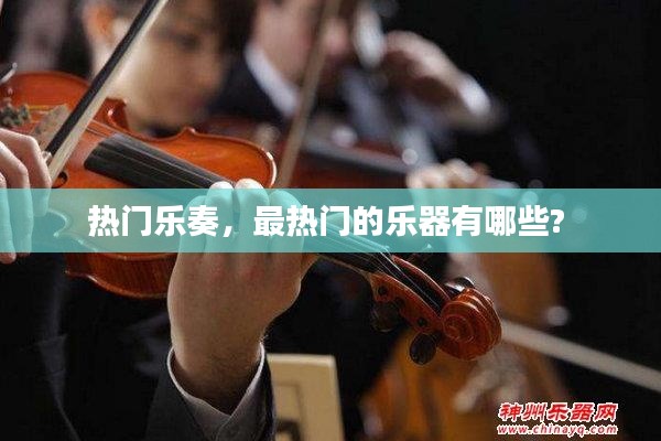 热门乐奏,最热门的乐器有哪些?