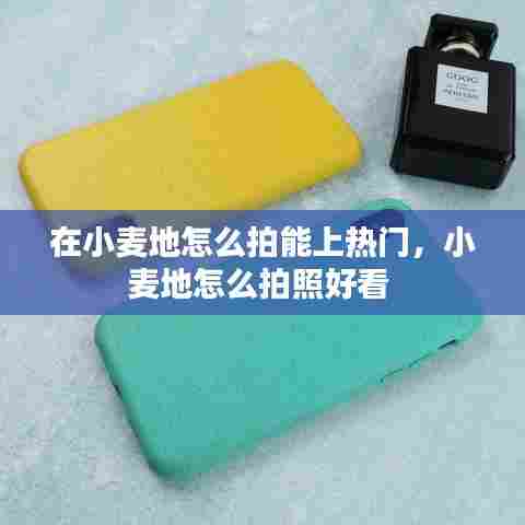 在小麦地怎么拍能上热门,小麦地怎么拍照好看