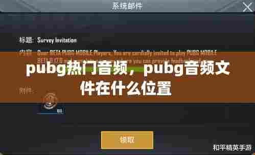 pubg热门音频，pubg音频文件在什么位置 