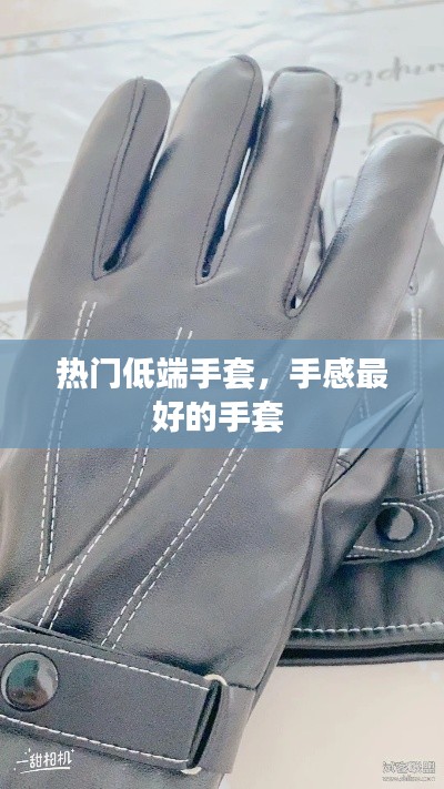 热门低端手套，手感最好的手套 