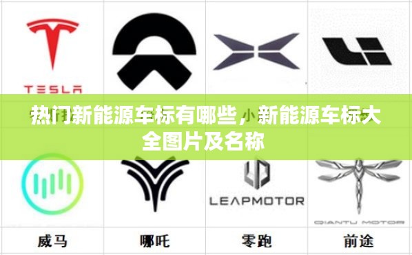 热门新能源车标有哪些,新能源车标大全图片及名称