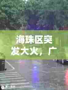 海珠区突发大火,广州海珠区刚刚发生的火灾