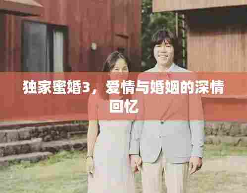 独家蜜婚3,爱情与婚姻的深情回忆