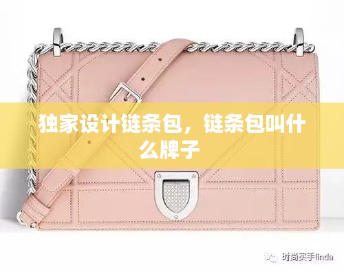 独家设计链条包,链条包叫什么牌子