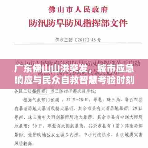 广东佛山山洪突发，城市应急响应与民众自救智慧考验时刻