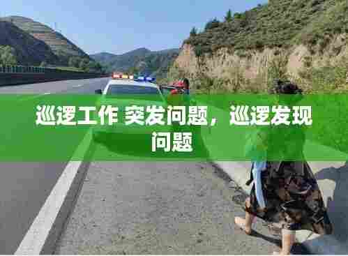 巡逻工作 突发问题,巡逻发现问题