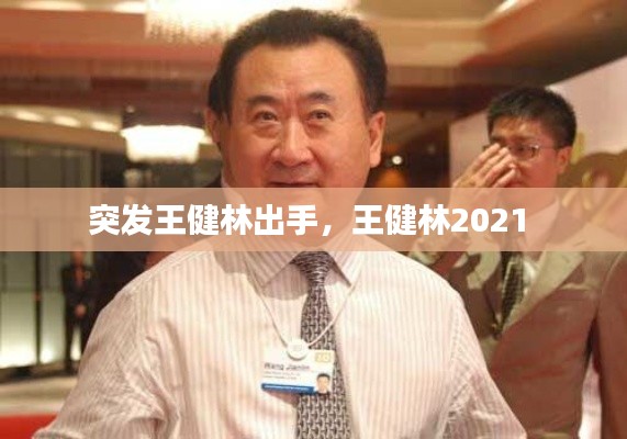 突发王健林出手,王健林2021