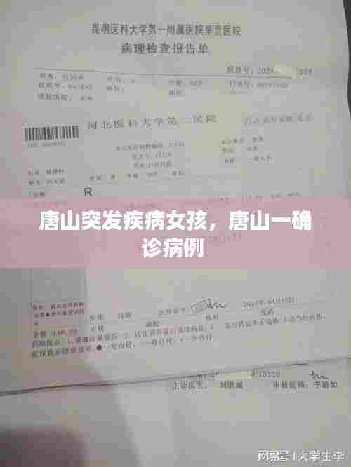 唐山突发疾病女孩,唐山一确诊病例