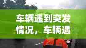 车辆遇到突发情况,车辆遇到突发情况怎么办