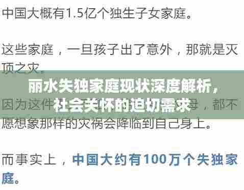 丽水失独家庭现状深度解析,社会关怀的迫切需求