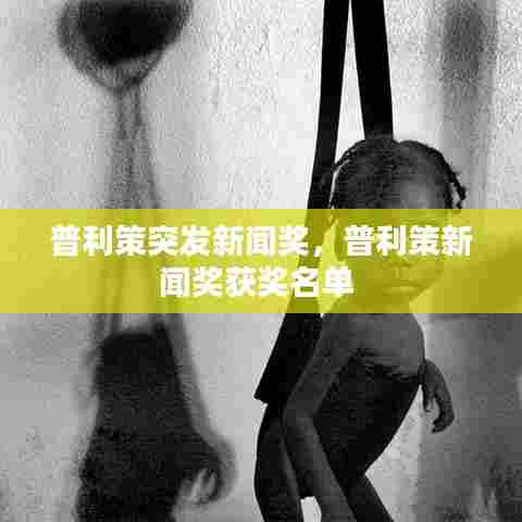 普利策突发新闻奖,普利策新闻奖获奖名单