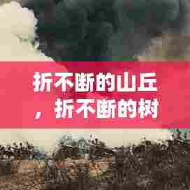 折不断的山丘,折不断的树叫什么