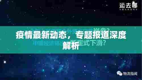 疫情最新动态，专题报道深度解析