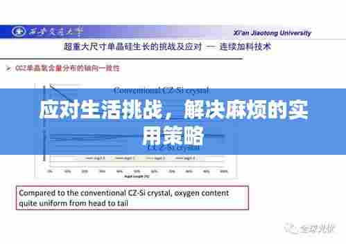 应对生活挑战，解决麻烦的实用策略